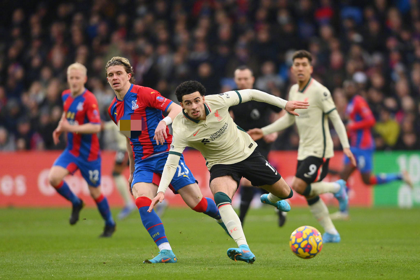 味着失去一 味着失去一